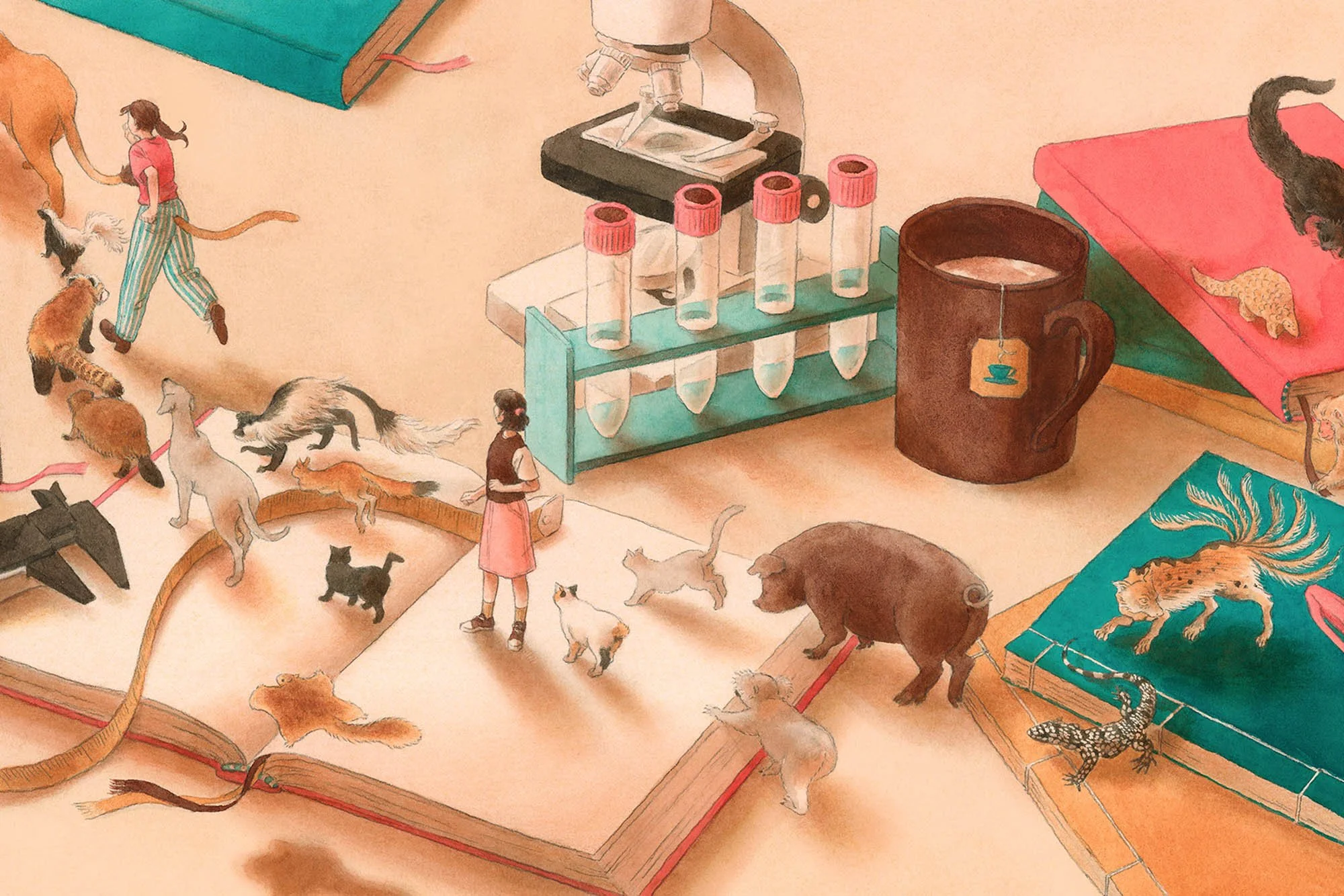 Client work |13歳からの考古学『なんで人間にはしっぽがないの？ 二度の喪失の物語』