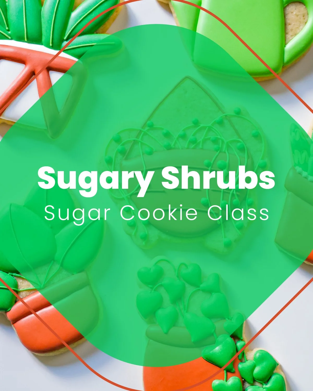 Sugar Shrubs Cookie Class