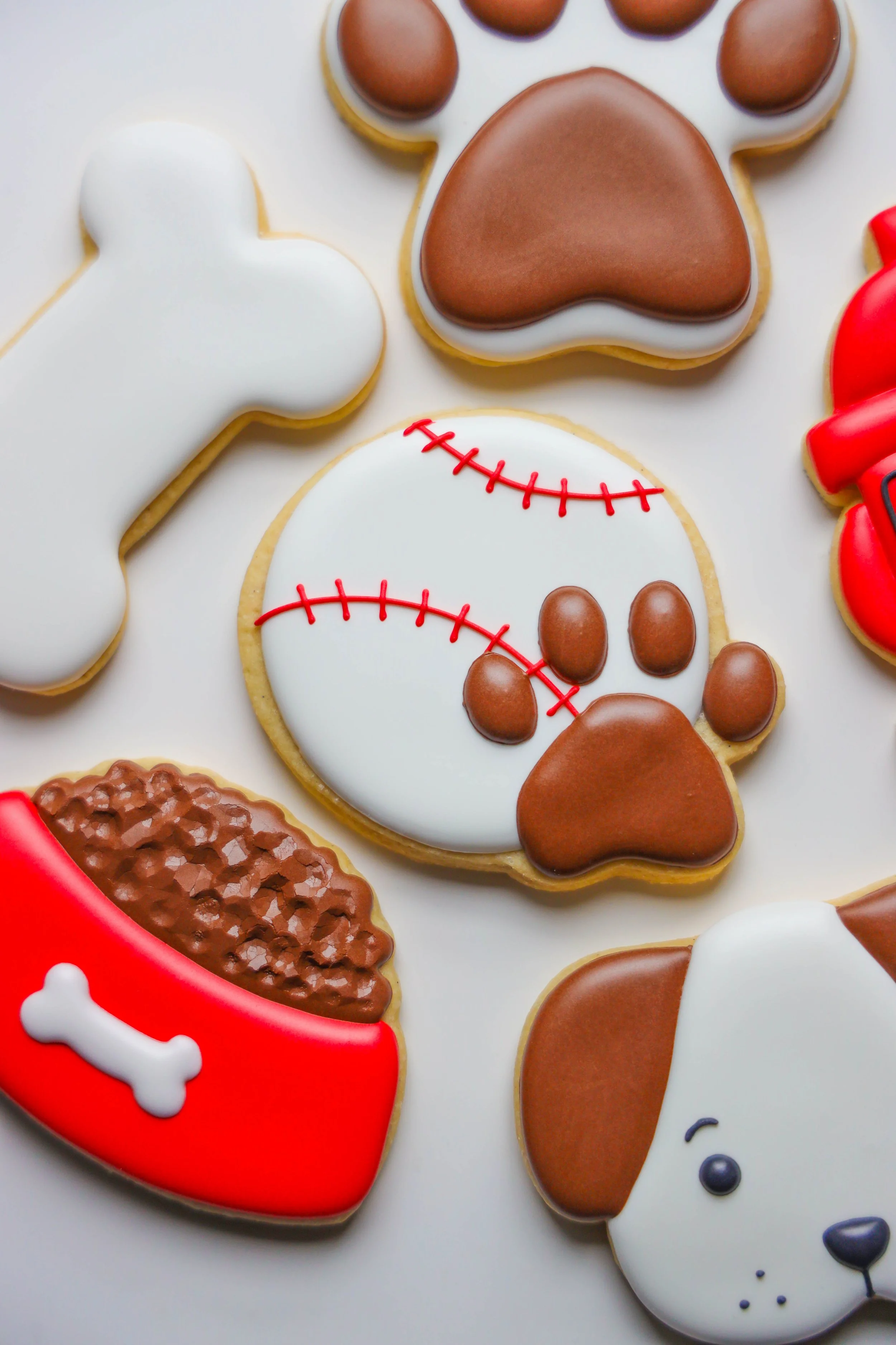 2025 Mar_Flatlay (3).jpeg