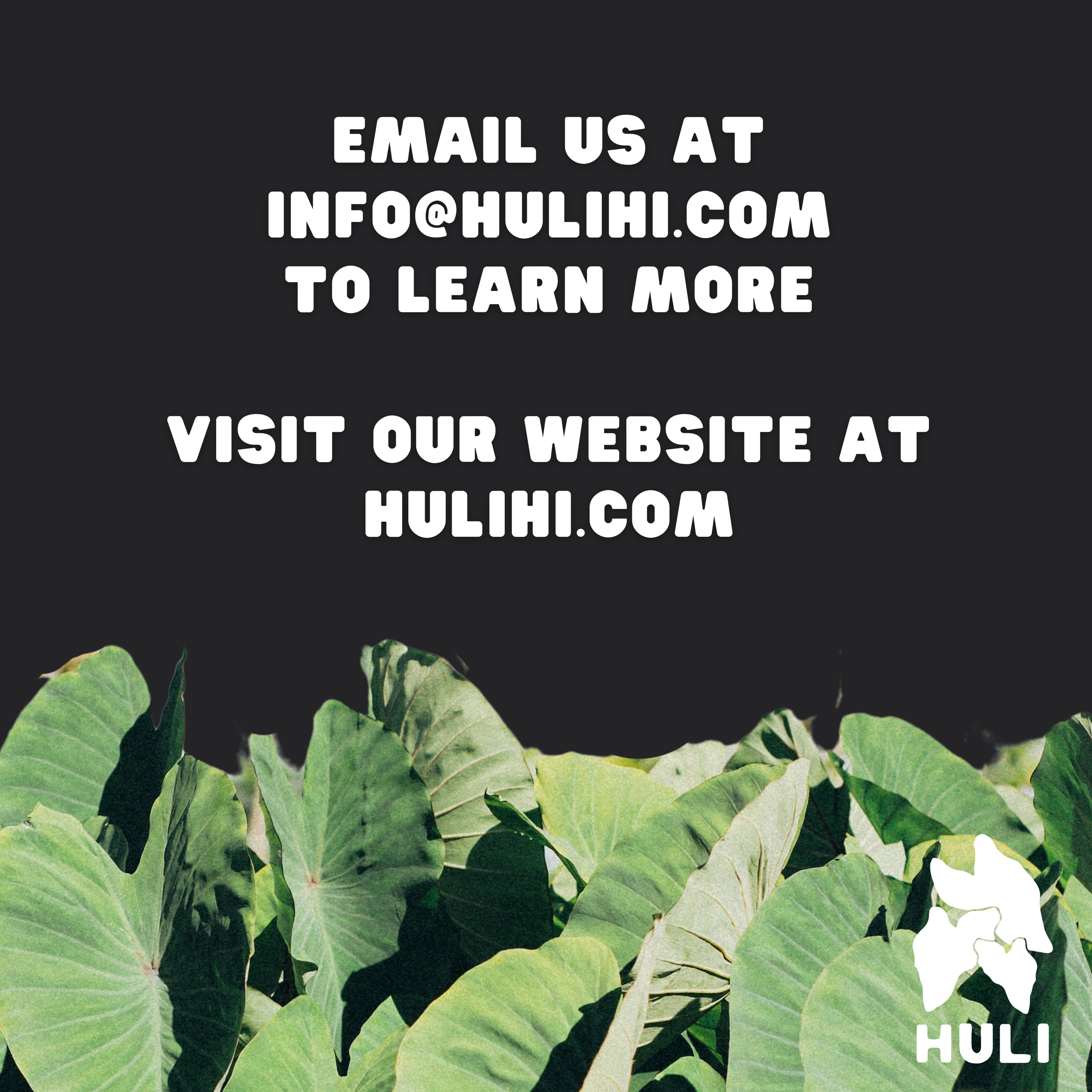 Invitation to contact via email at info@hulihi.com and visit hulihi.com, with a background of large green leaves and a white logo of a stylized animal head with the word "HULI".