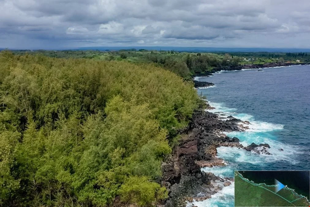 A drone view of a lush green forest meeting the rocky coastline with the ocean waves crashing against the rocks under cloudy skies.