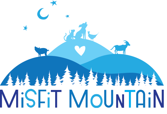 Misfit Mountain