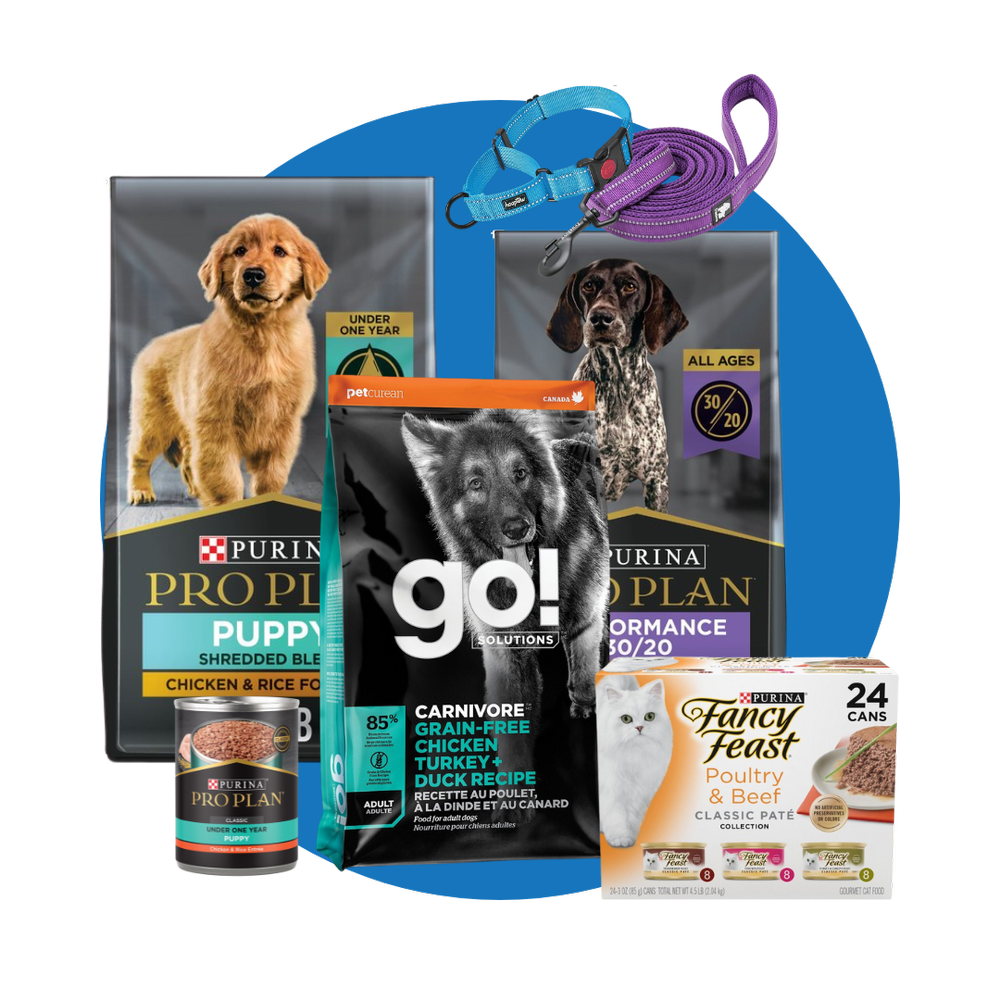 Cat Food Bowls Metal Cat Food Bowls Metal