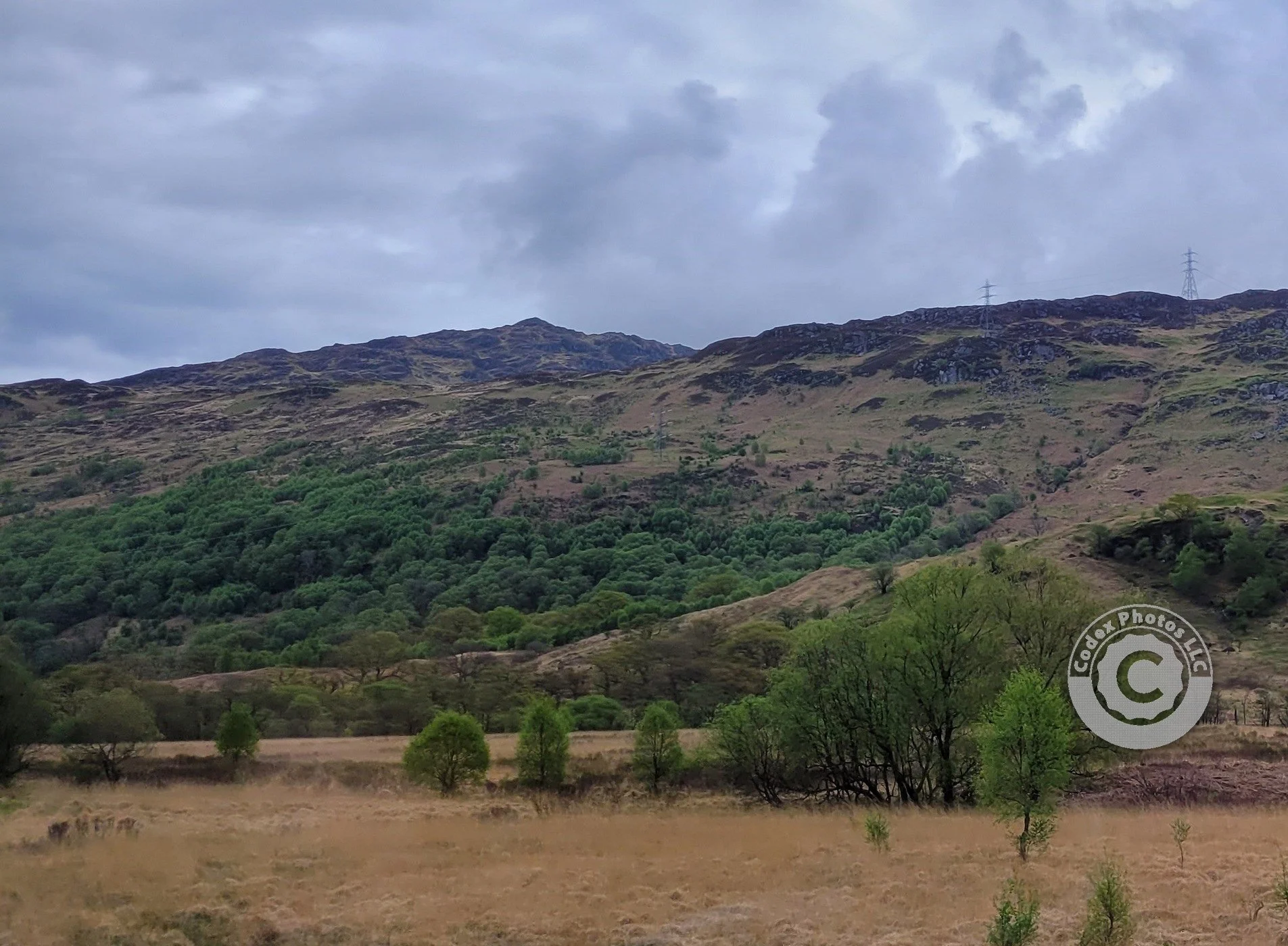 Landscape6472