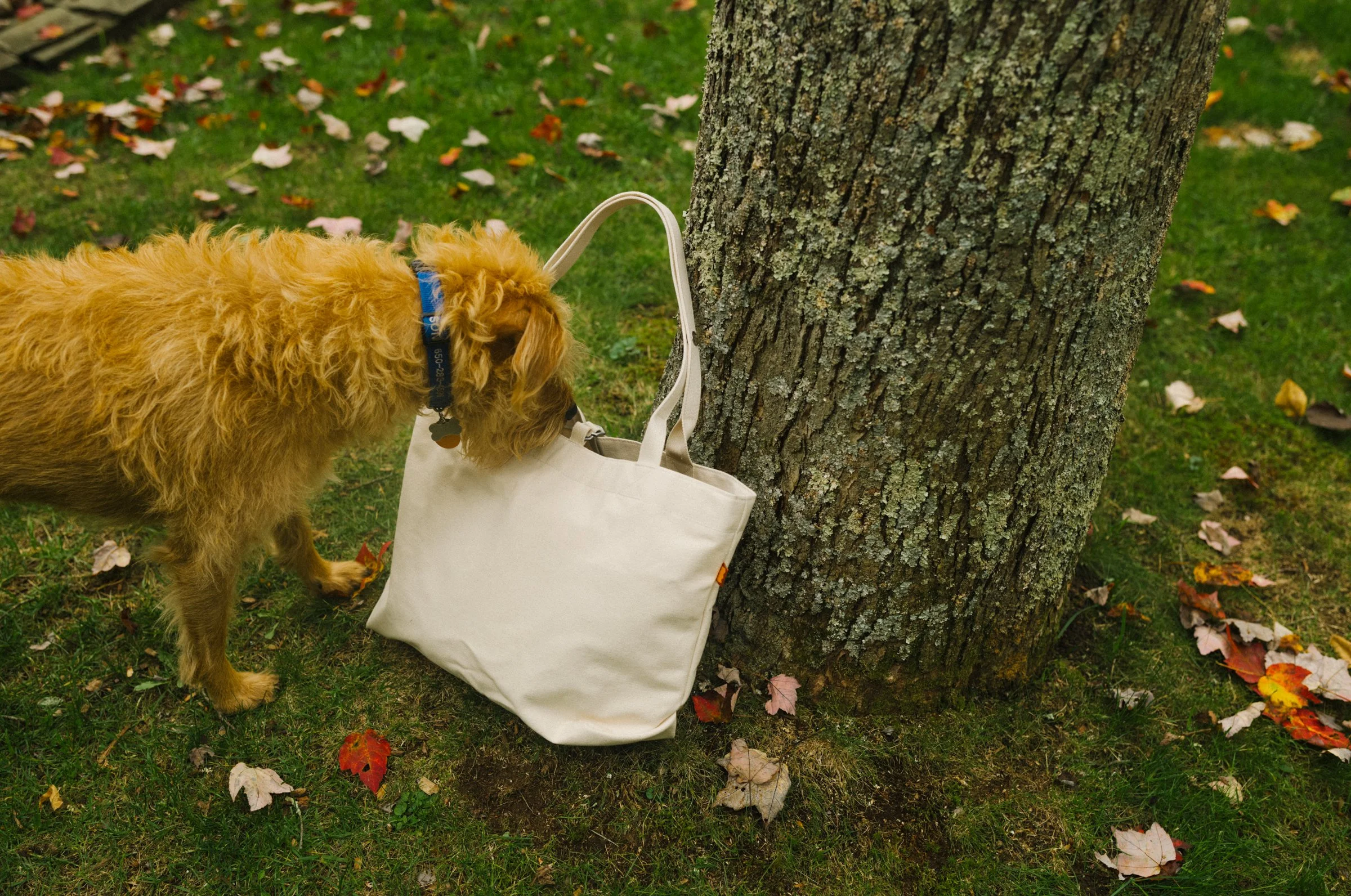 RL-Simple Tote-Natural-1.jpg