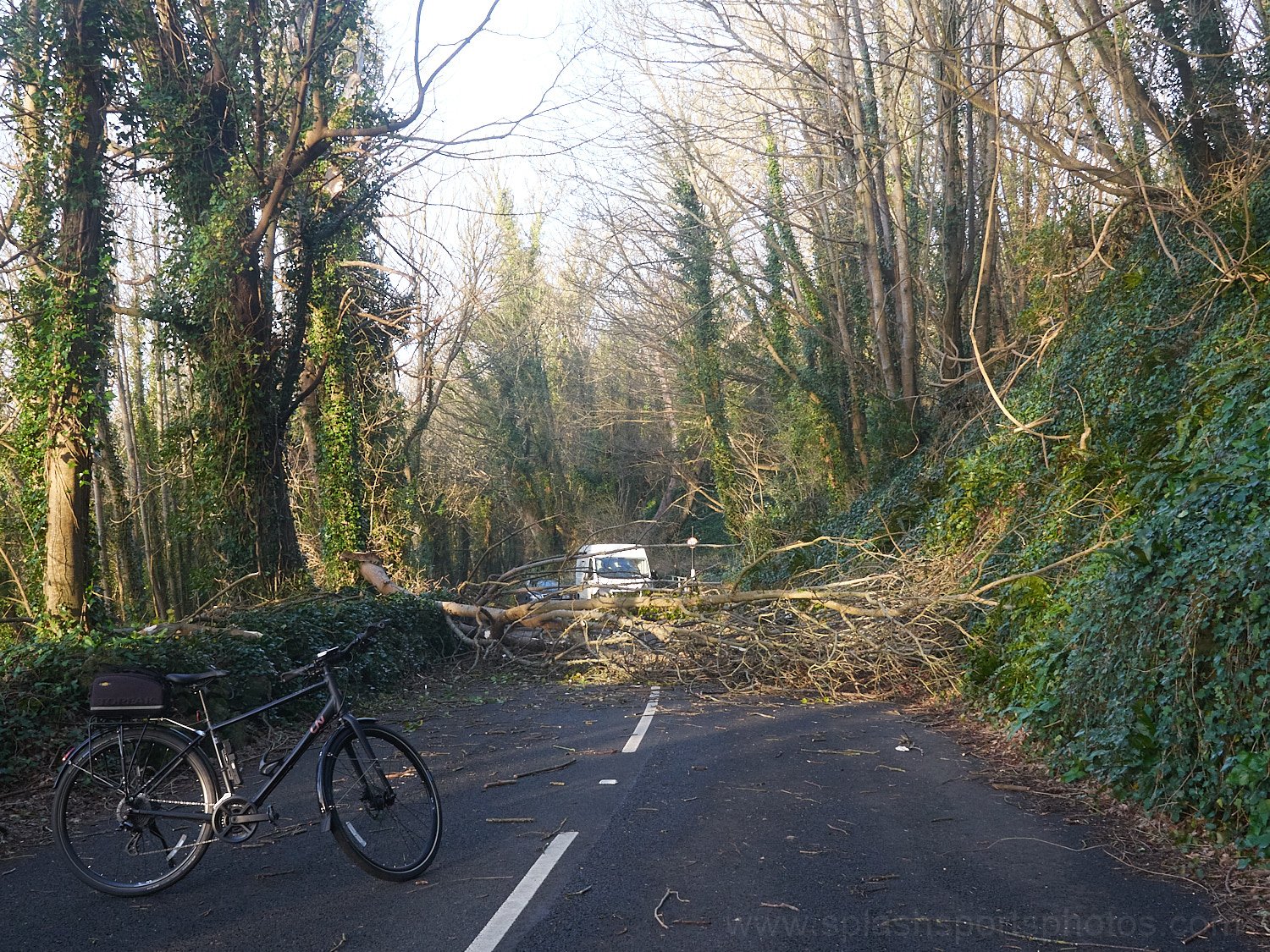 Niton Undercliff