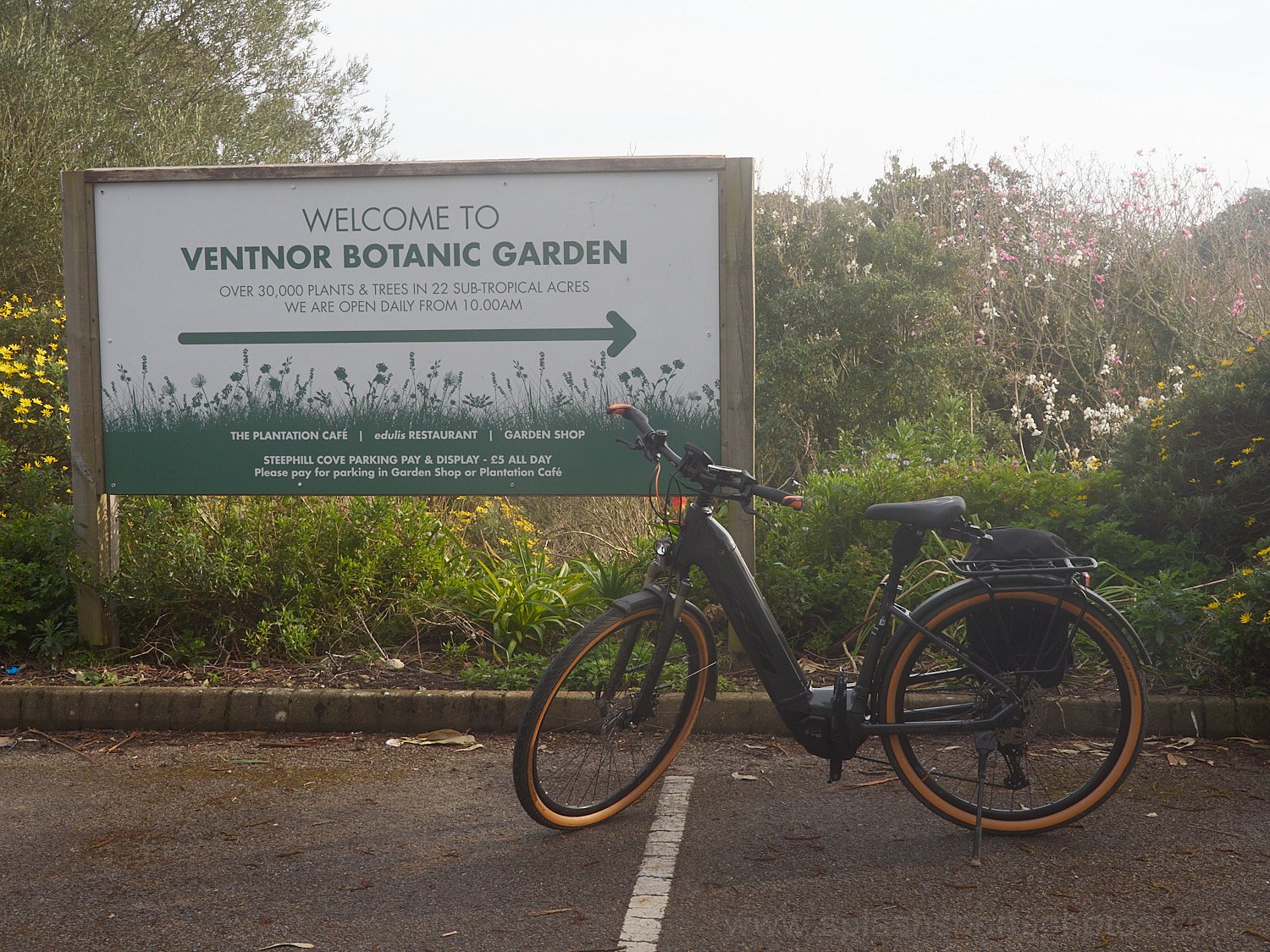 Ventnor Botanical Gardens