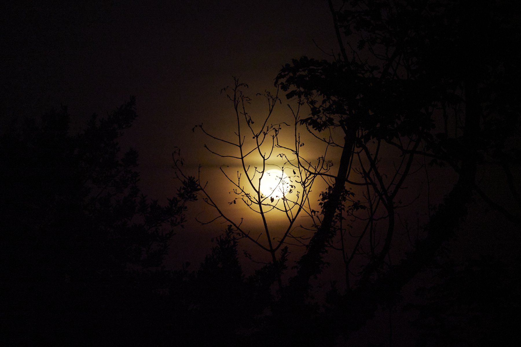 Moonrise