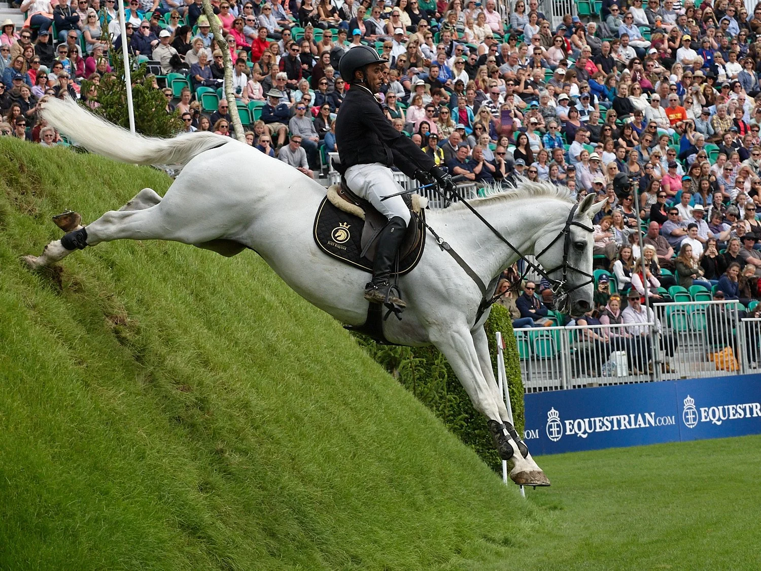 Showjumping