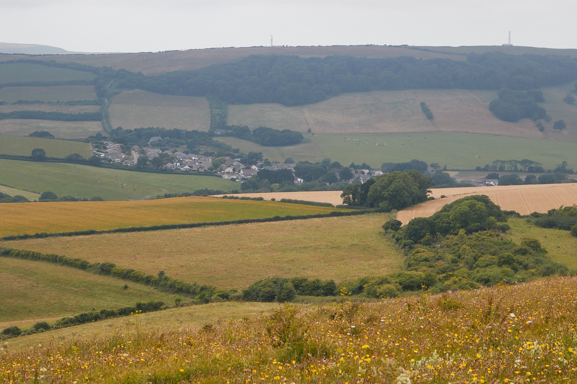 17.07.15-_C4A2954.jpg