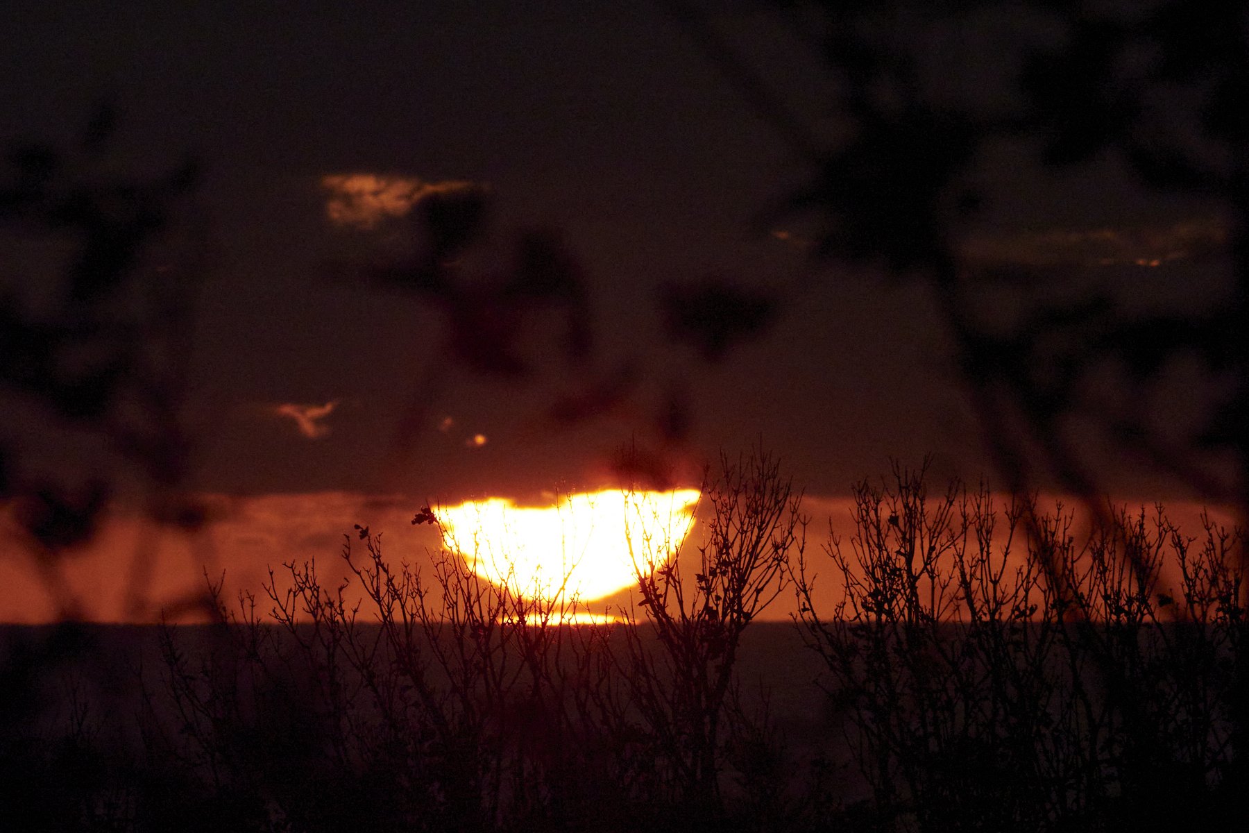 Sunrise