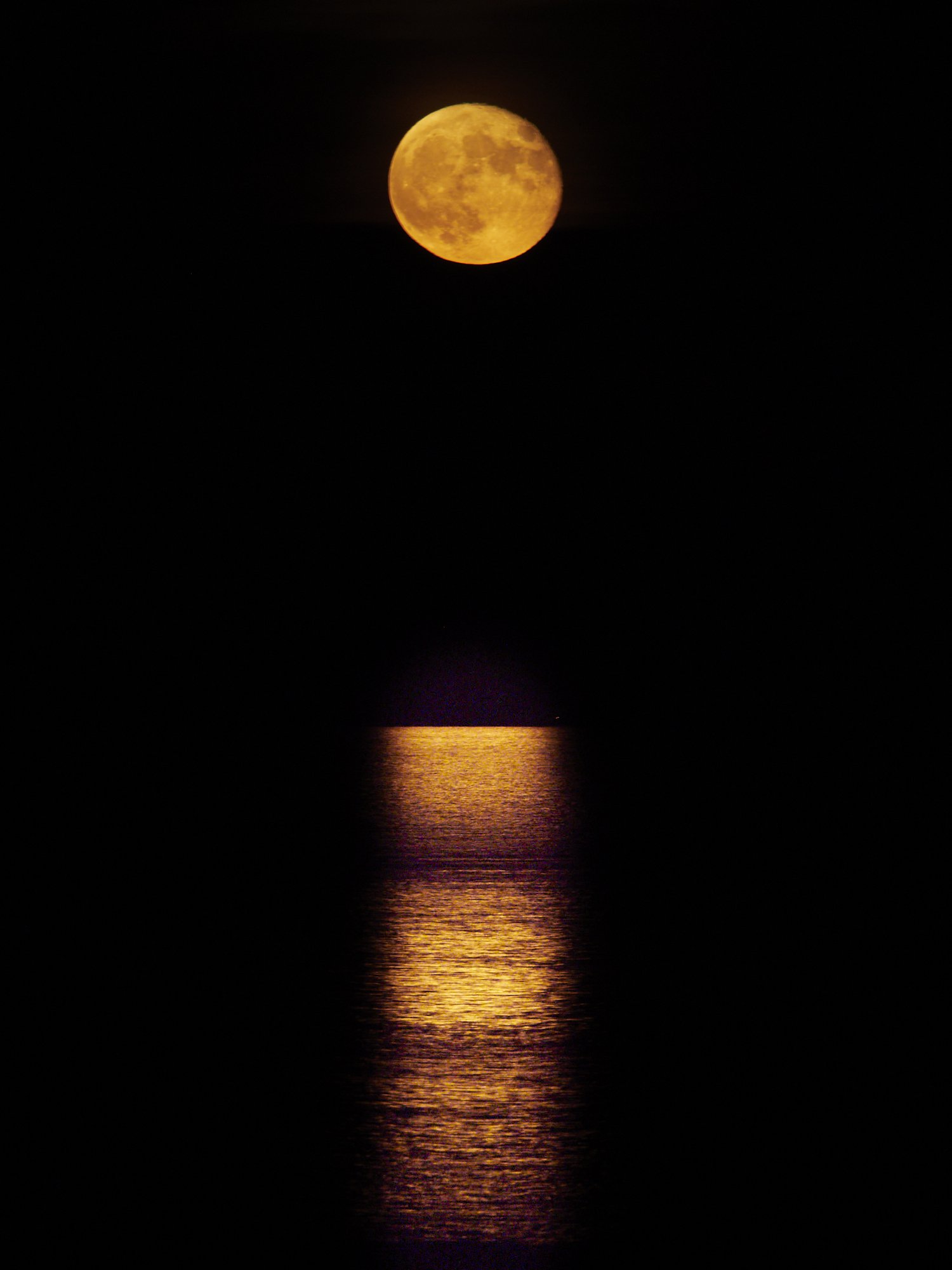 Reflexions