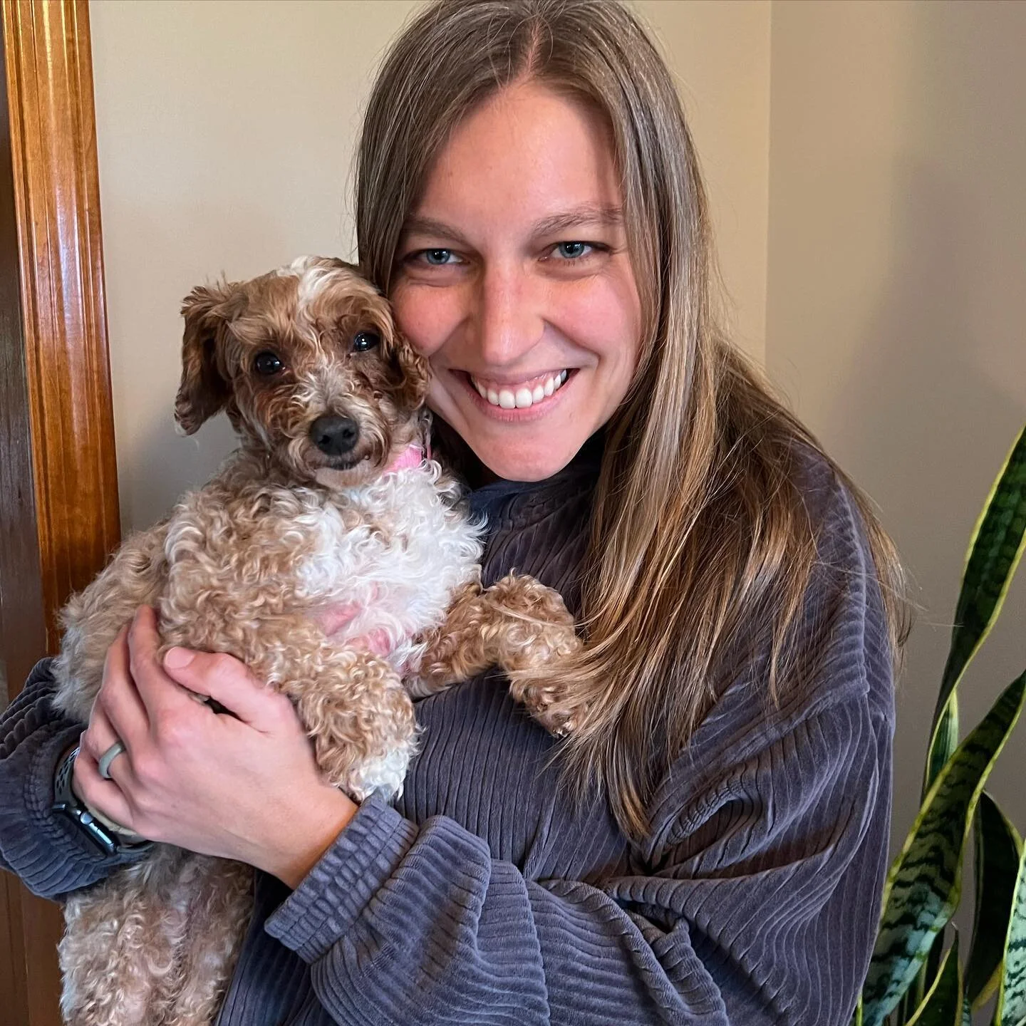 New house, new dog!! 
Welcome home to our sweet little Cannellini Bean aka Lini B. She&rsquo;s a curious, chicken-loving, toothless wonder and we can&rsquo;t wait to give her all the lovins 💖

Shout out to @hsdcoh for all they do!