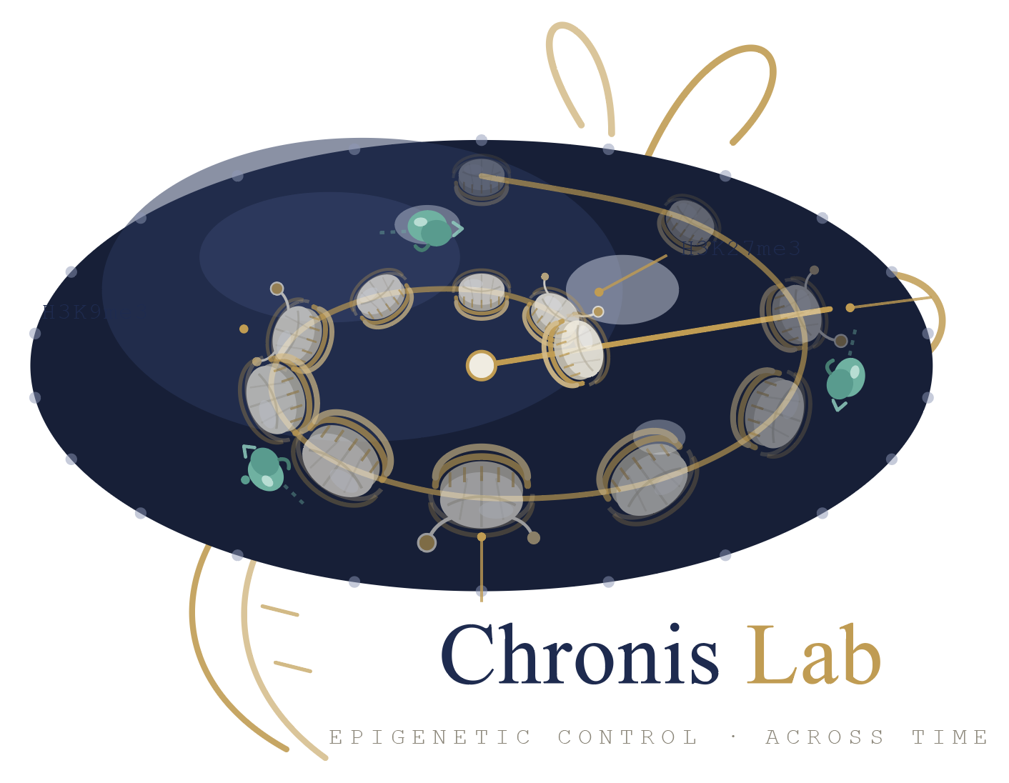 Chronis Lab | UIC 