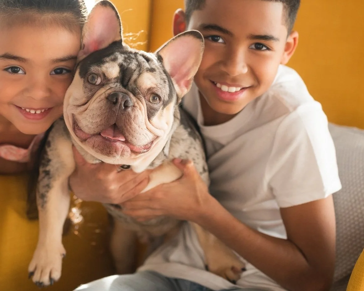 Two children smiling and hugging a French Bulldog puppy.