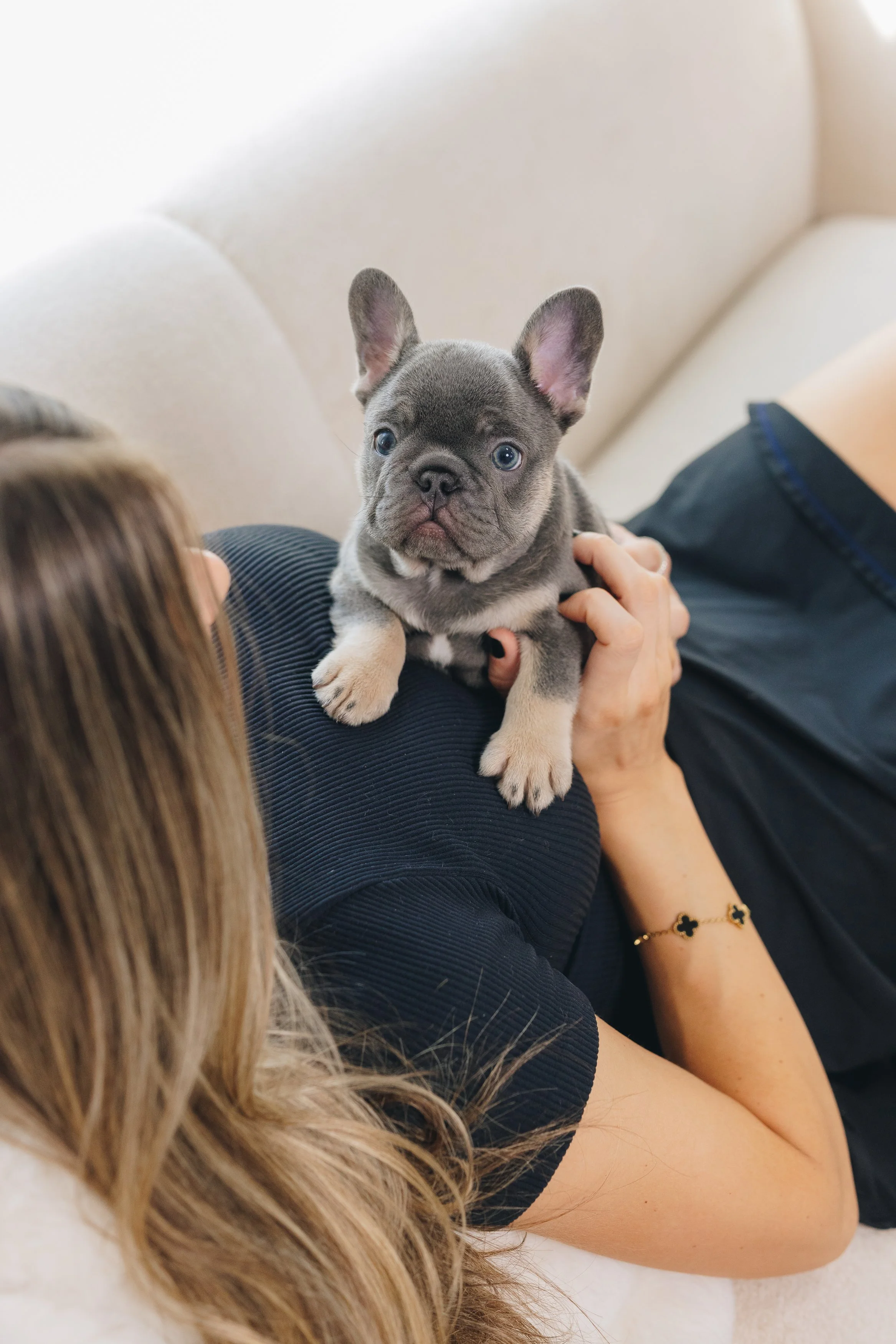 Reserve your puppy now