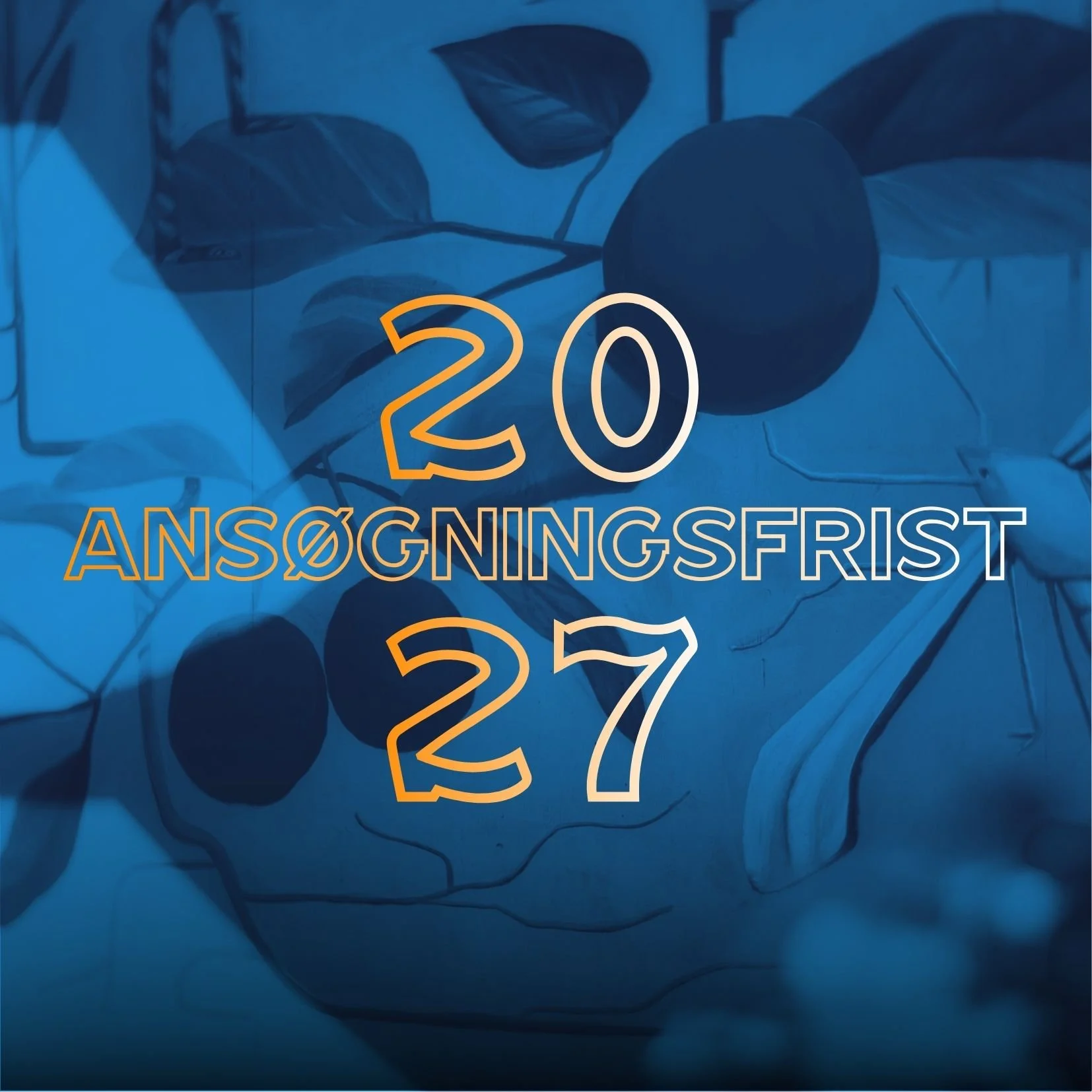 SØG OM AT BLIVE EN DEL AF PROGRAMMET FOR 2027