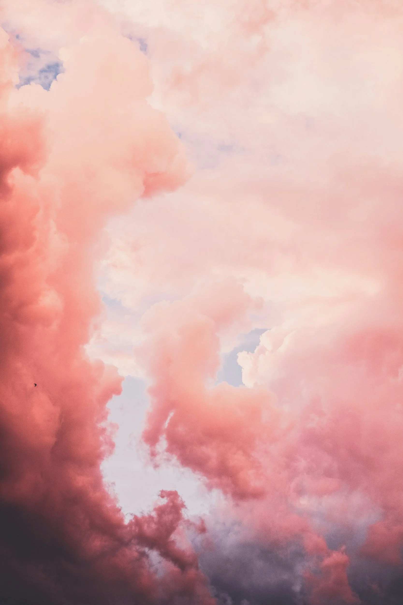 A Concert of Dreams