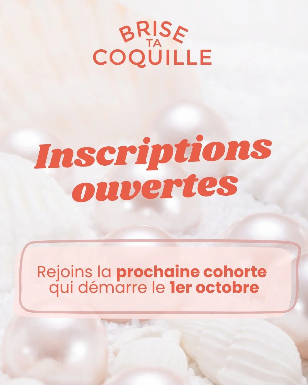 🐚 Les inscriptions pour Brise ta coquille sont officiellement ouvertes 🥳

Ce programme a d&eacute;j&agrave; transform&eacute; la vie de plusieurs femmes qui, comme toi, ressentaient le besoin de s&rsquo;&eacute;panouir pleinement :

💬 &laquo; Le p