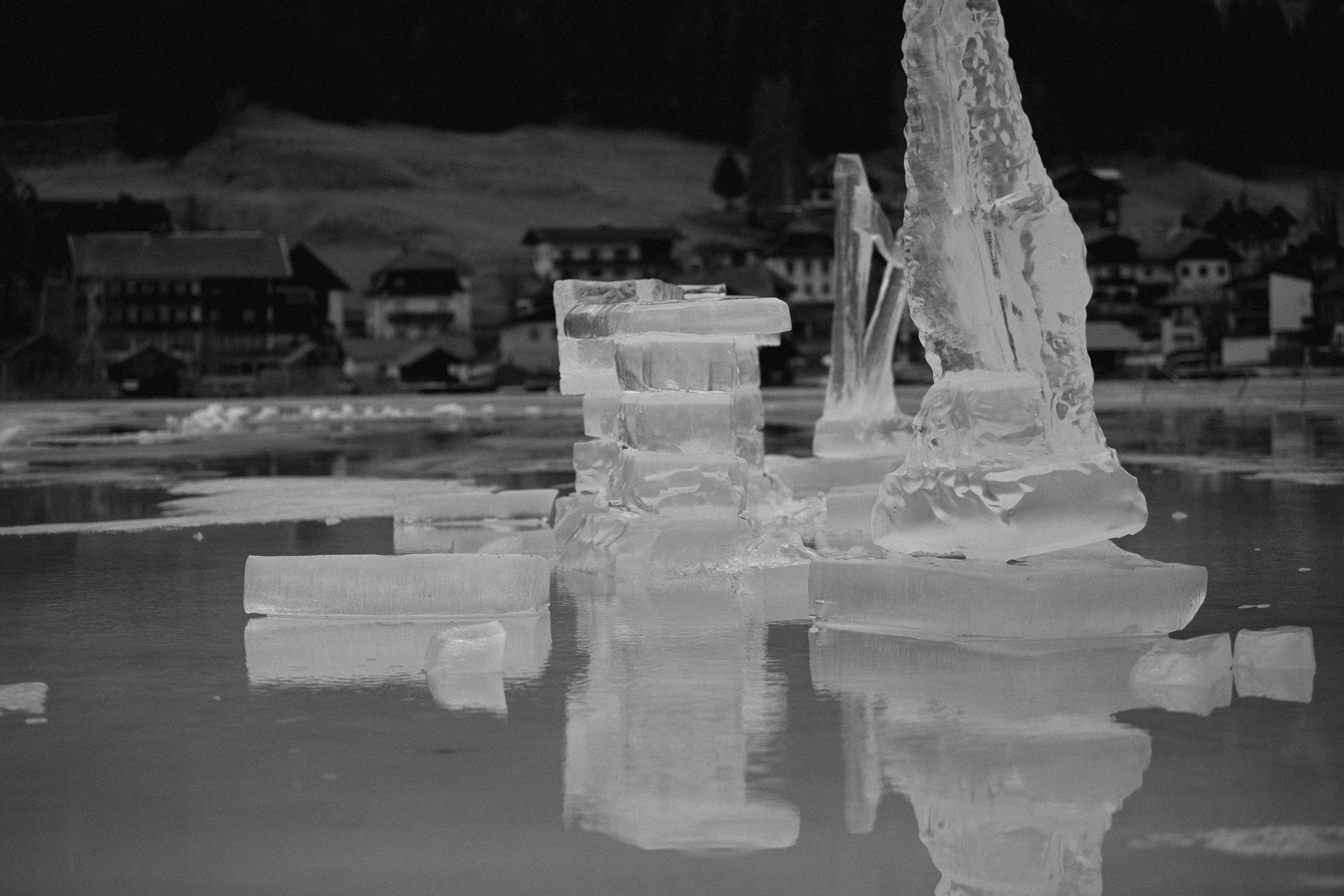 Wise on Ice After Concert 02.24 -0847-2.jpg