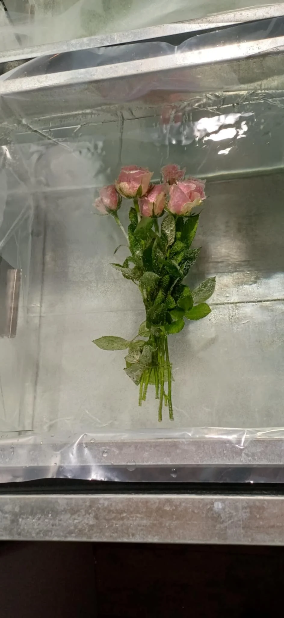 Bilde 12.12.2025 klokken 09.03 2.JPG