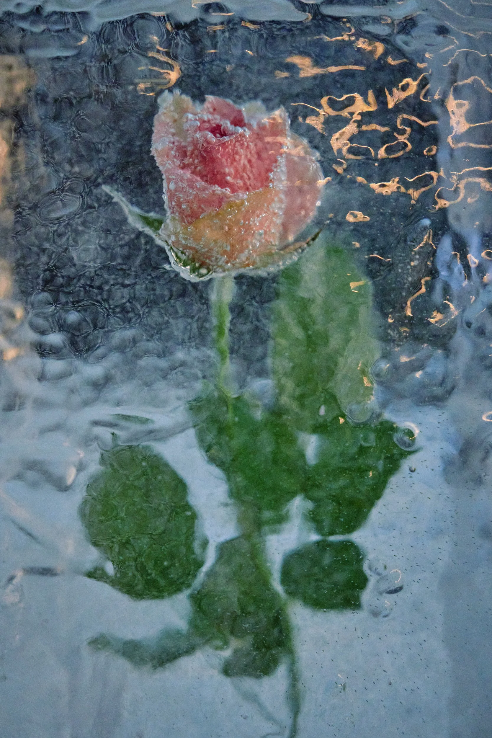 IMF Oslo 2026 Bilder 2500px by Emile Holba 03.jpg