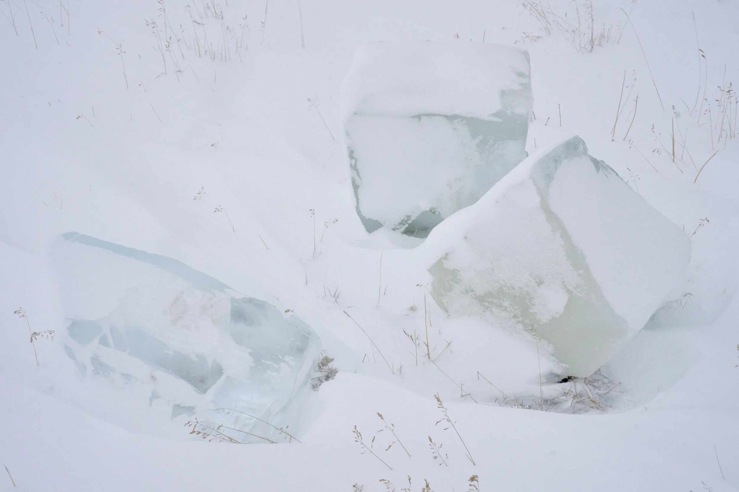 IMFG 2026 Finals Low Res 2500px by Emile Holba 34.jpg