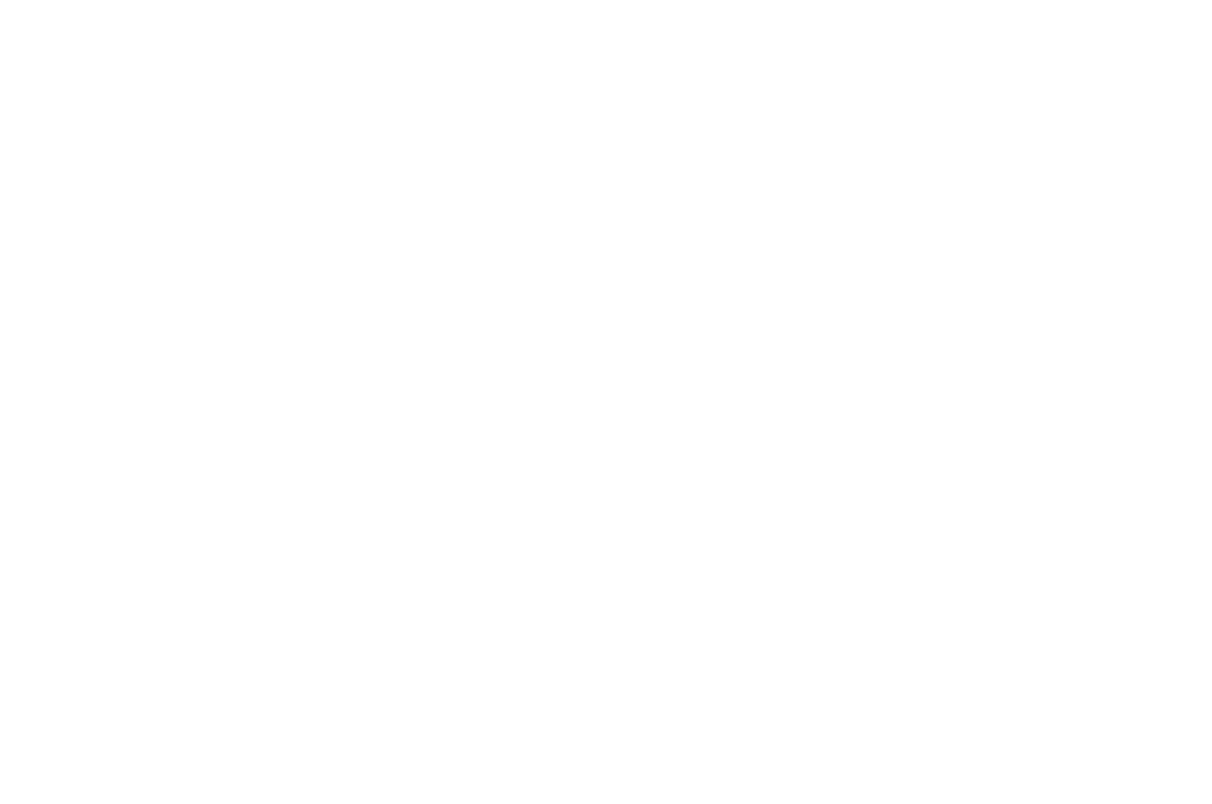 BEST DOCUMENTARY - Wolverhampton Film Festival - 2025.png