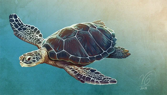 Sea Turtle - digital - 2018