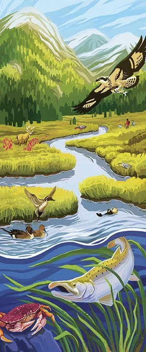 Coastal Program Poster for USFWS - digital - 2018