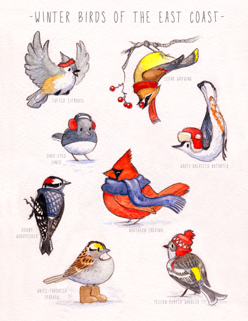 8644273_orig.png