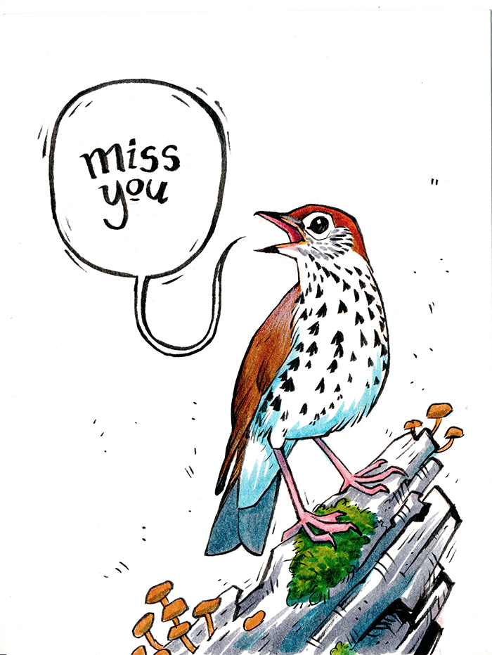missyou-web_orig.png