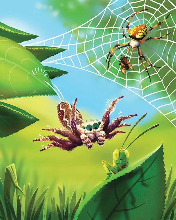 Jumping Spider for Ranger Rick Jr. - digital - 2019