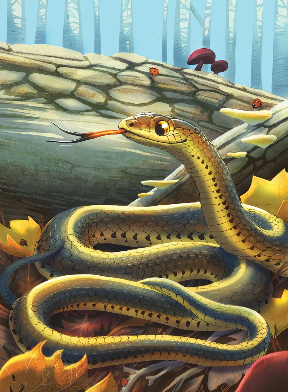 Garter Snake for Ranger Rick Jr. - digital - 2020