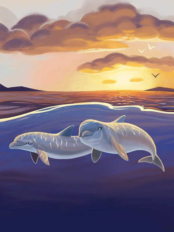 Sleepy Dolphins for Ranger Rick Jr. - digital - 2019
