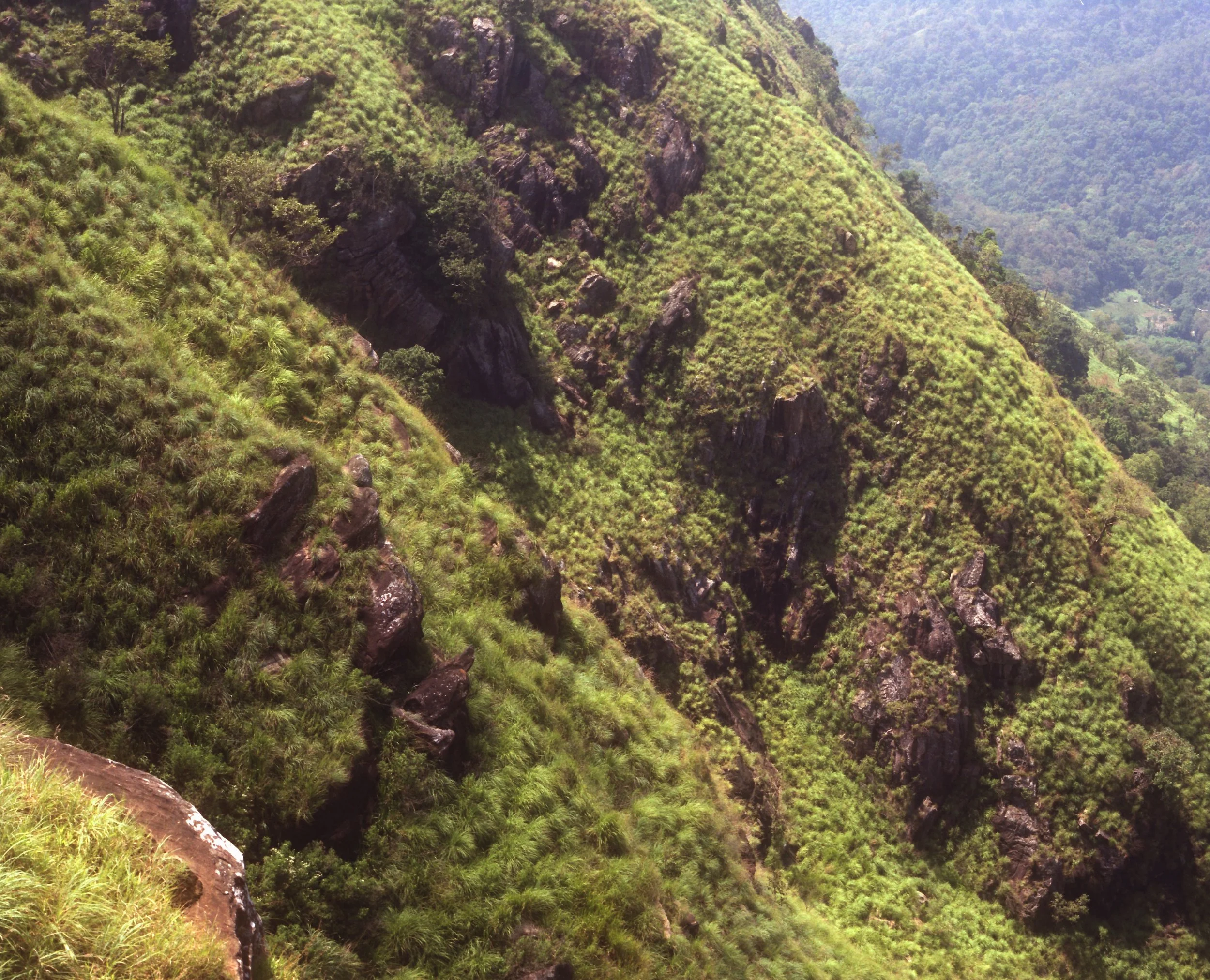 Roll 119 - Cinestill 400D - 120