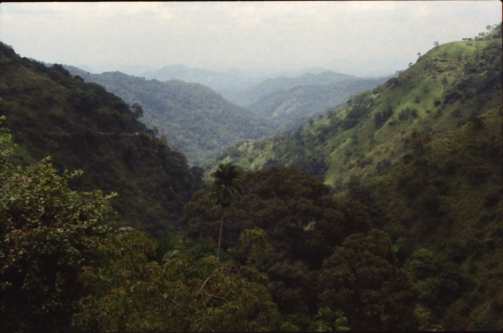 Roll 15 - Fuji 400 - 35