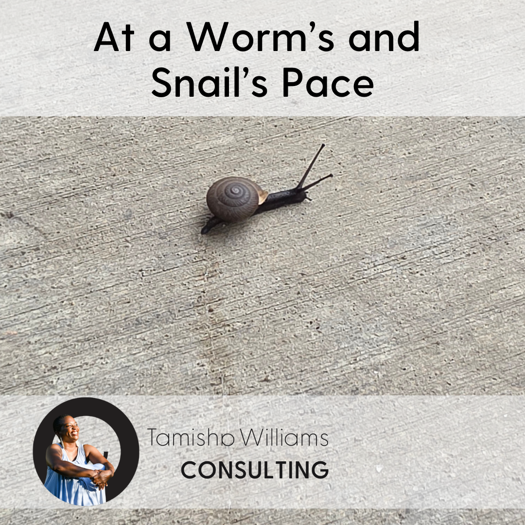 At a Worm’s and Snail’s Pace
