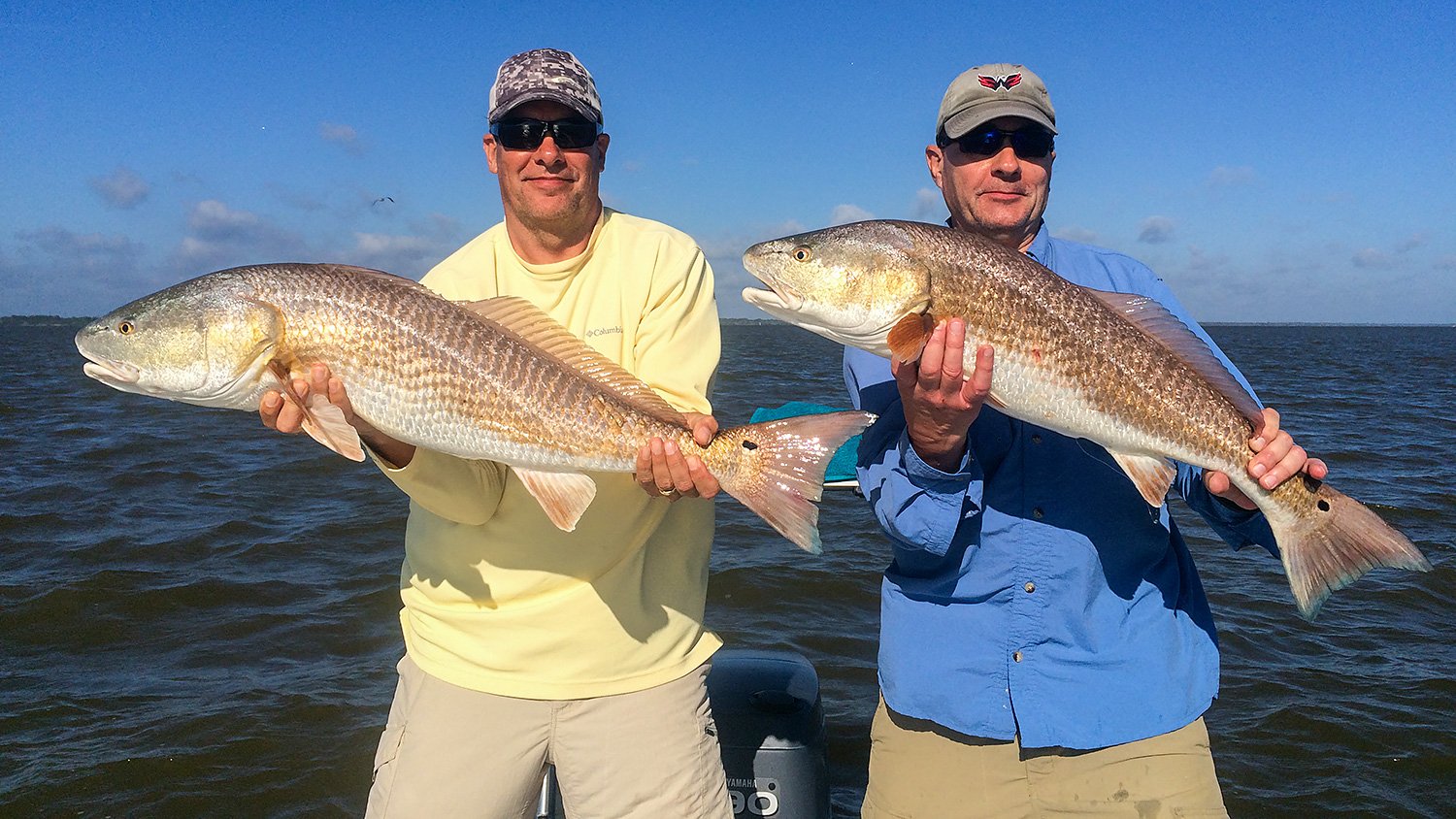 Redfish