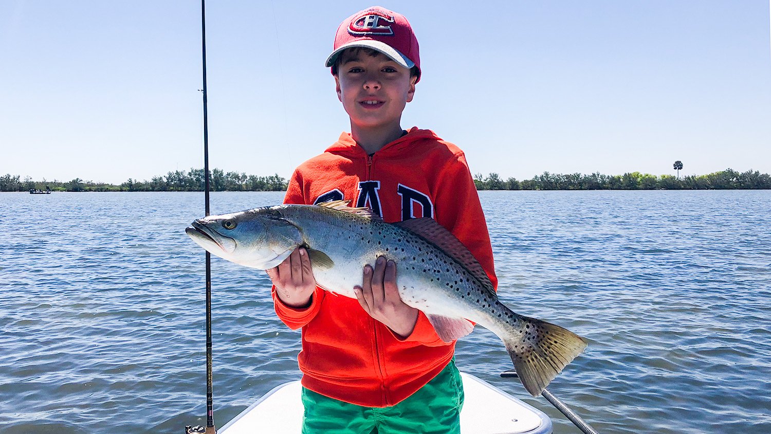 Speckled Trout