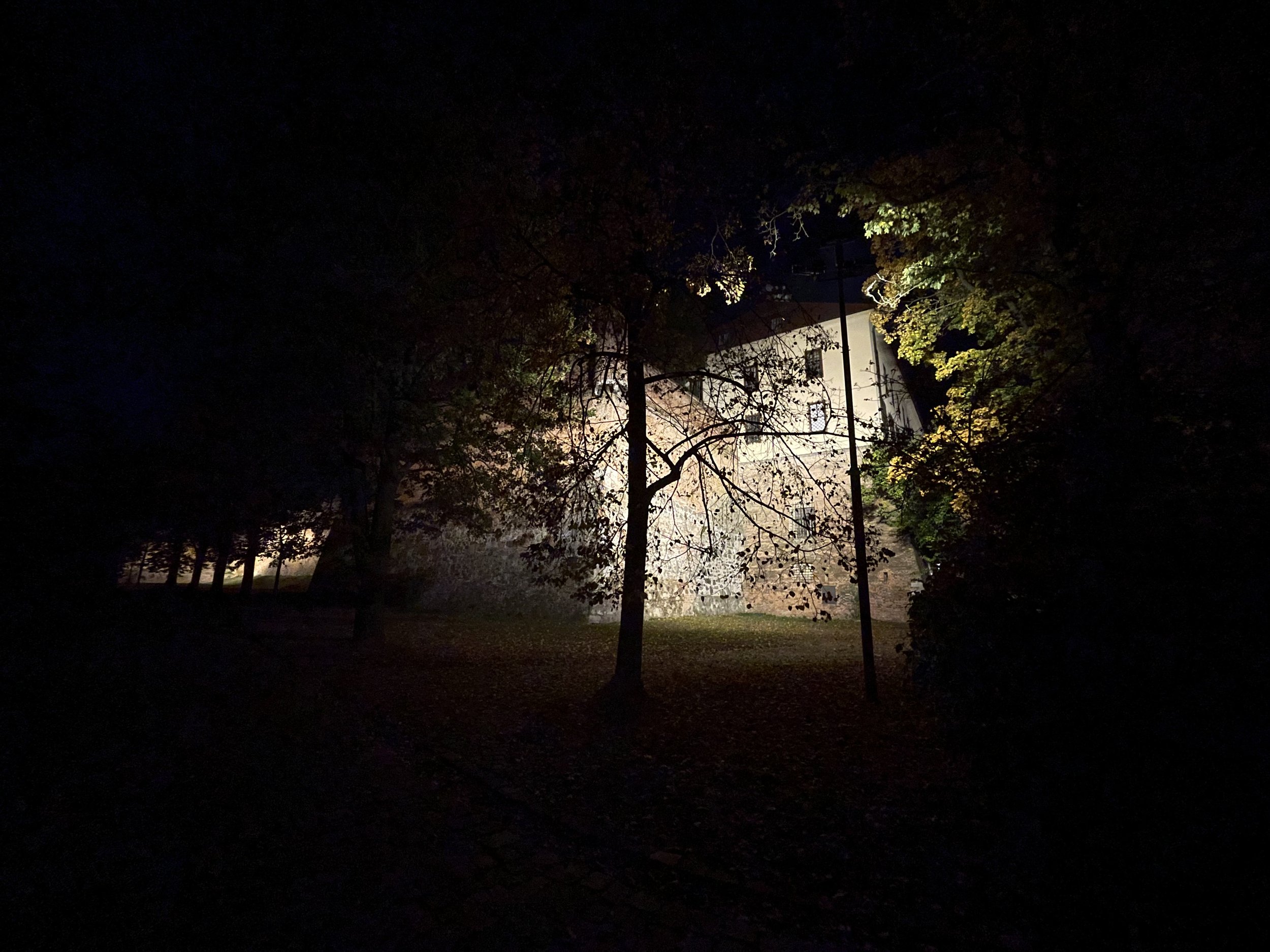 IMG_8115.jpeg