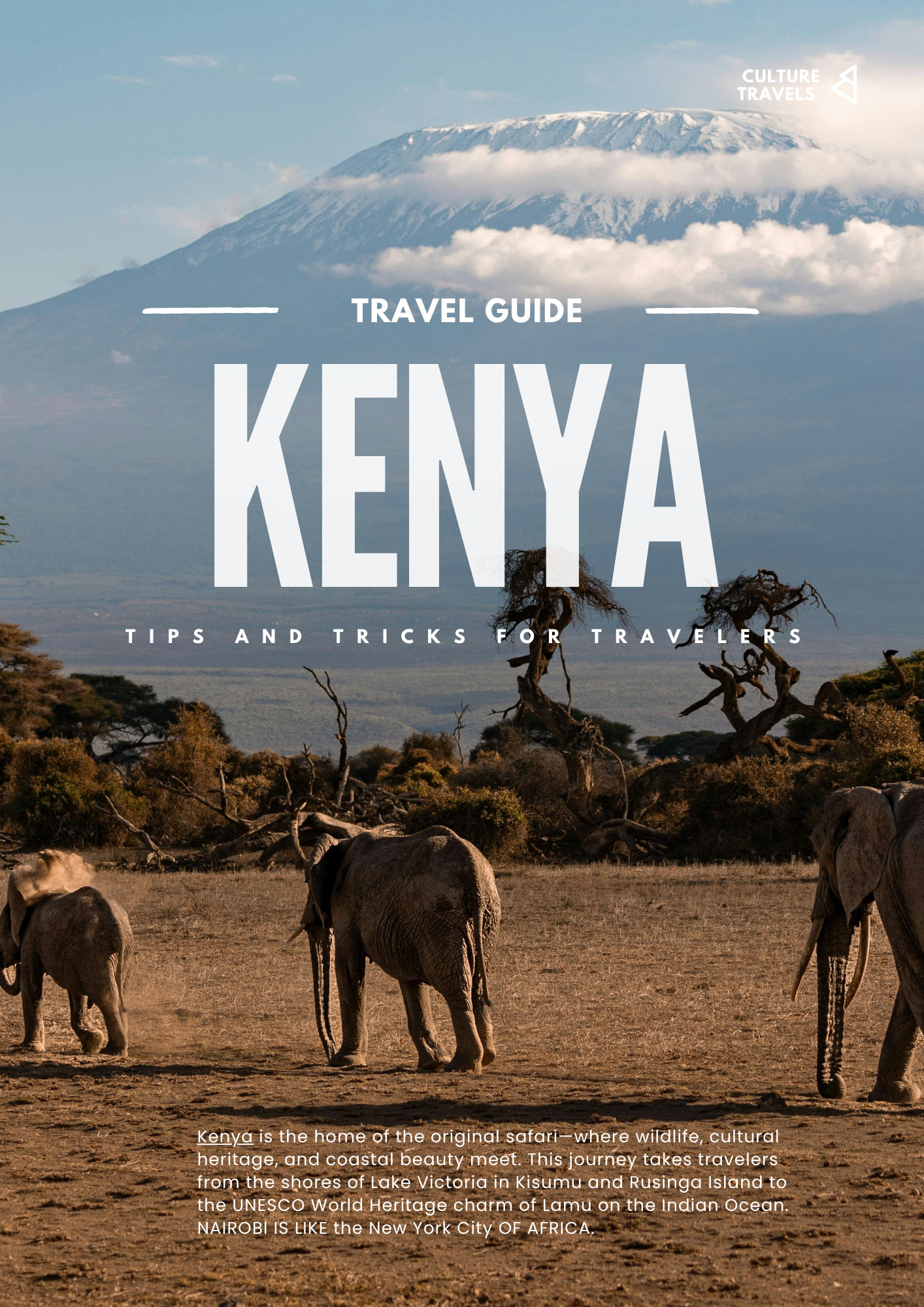 Brown Journal Travel Guide Book.png