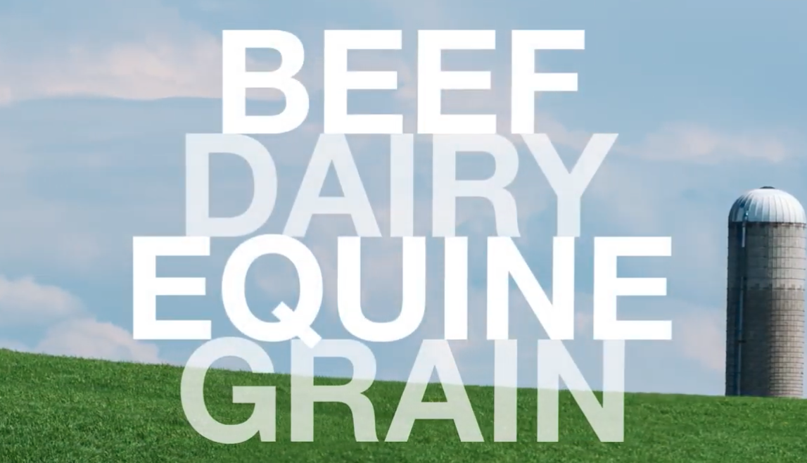 Screen Shot 2021-11-14 at 7.23.22 PM.png