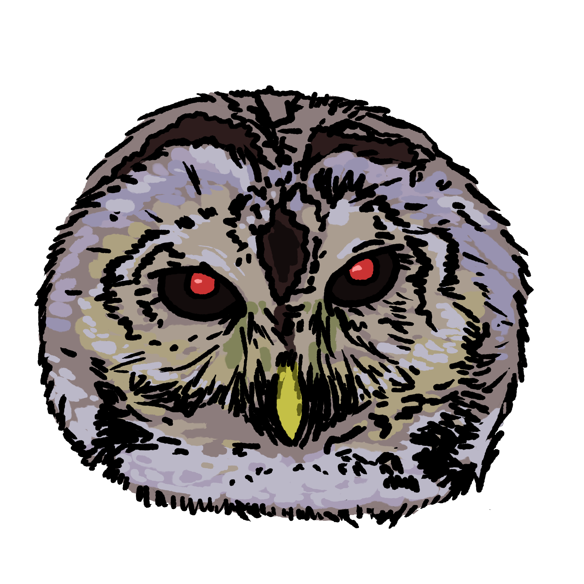red eye owl.png