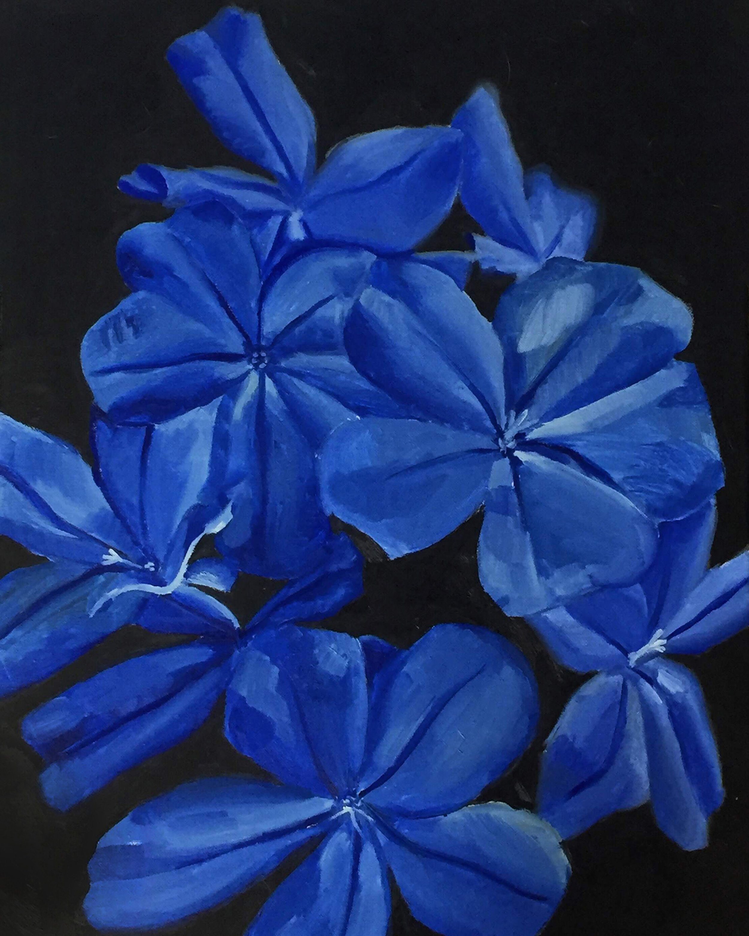 f9d0fae9-1f9e-4616-9289-024f8f6da000 copy.jpg