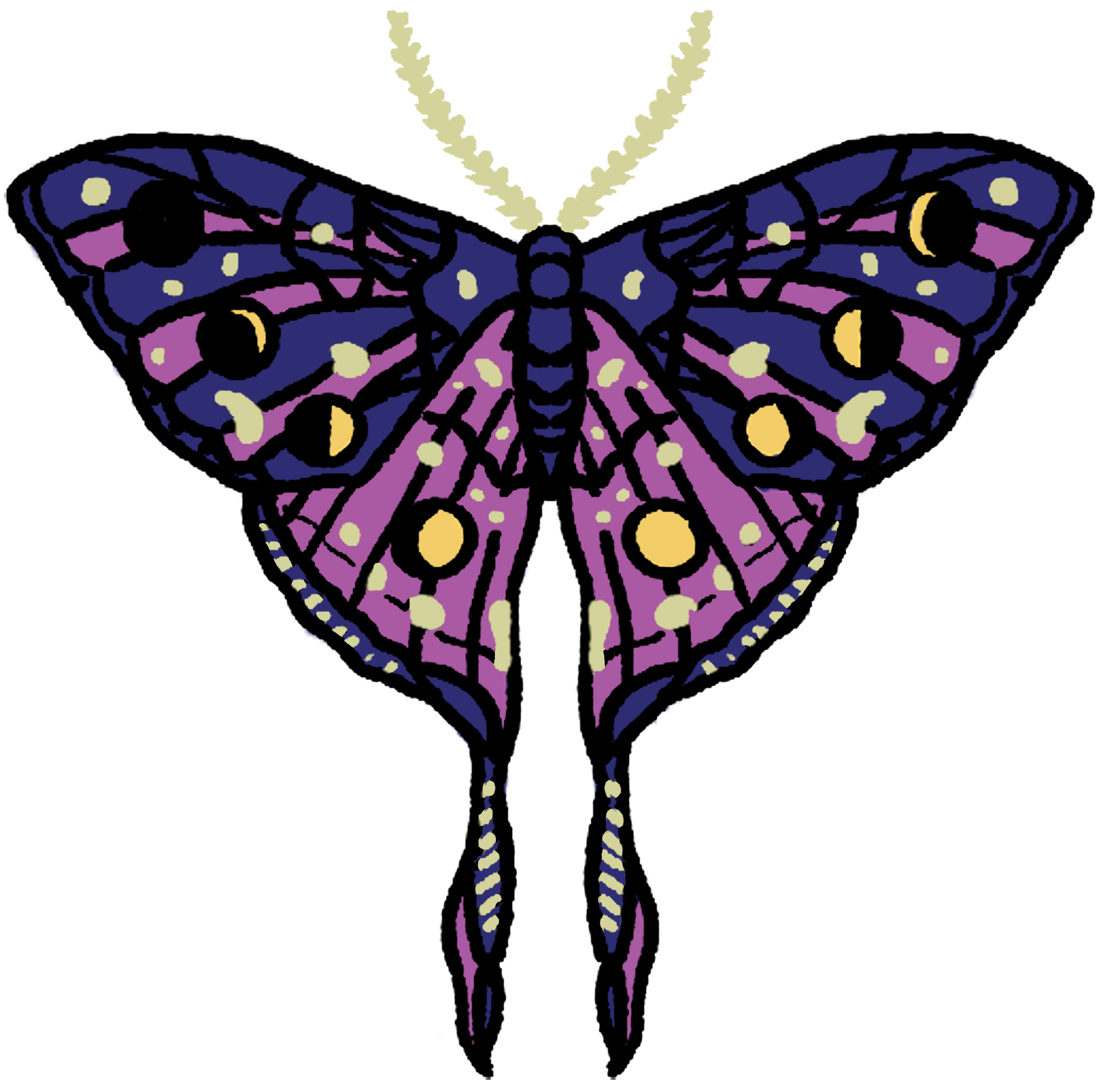 purple-moth-touch-up.png