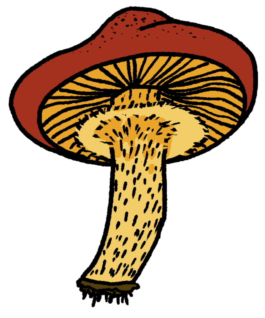 mushroom-touch-up.png