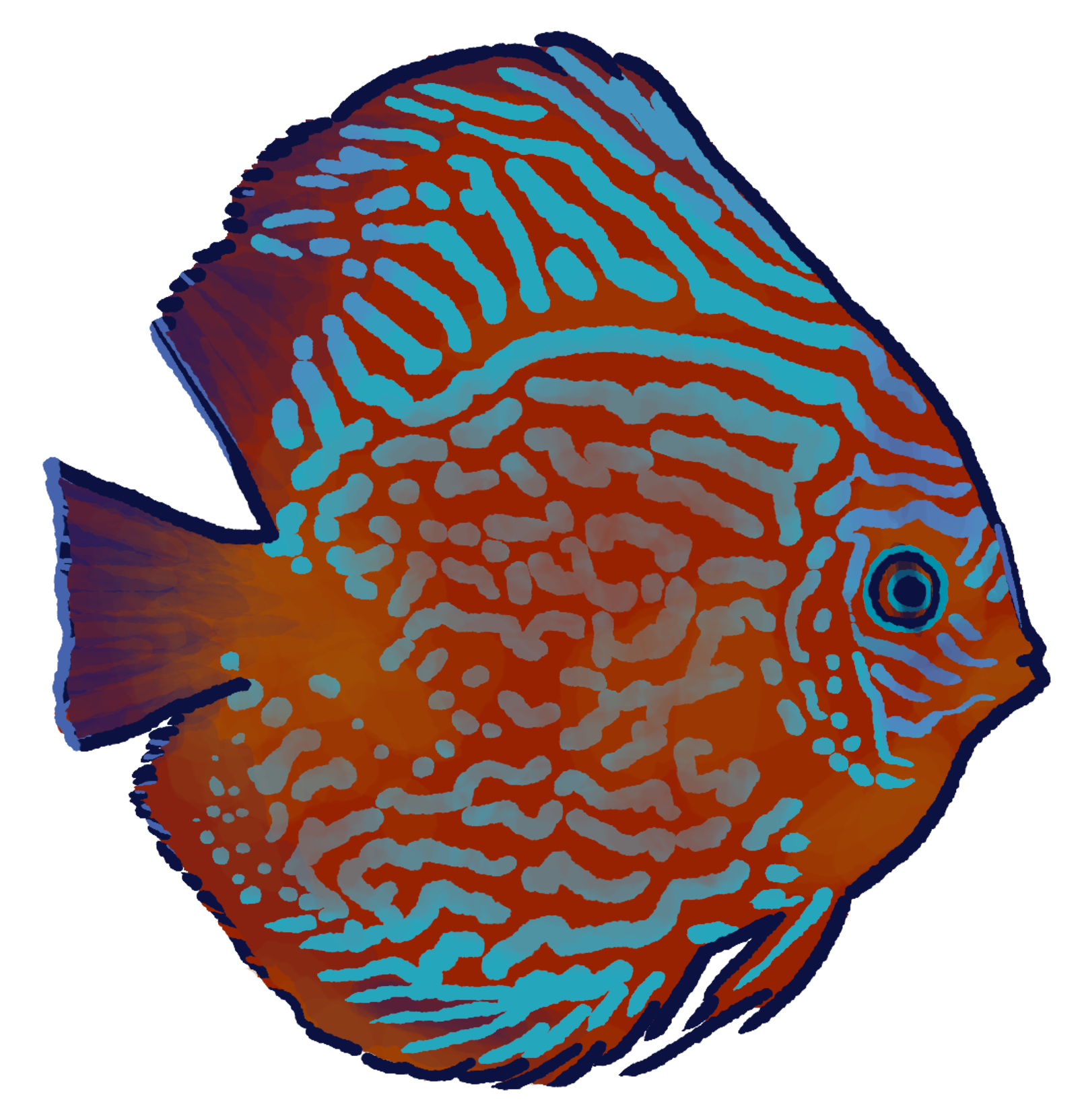 discus-fish-1.png