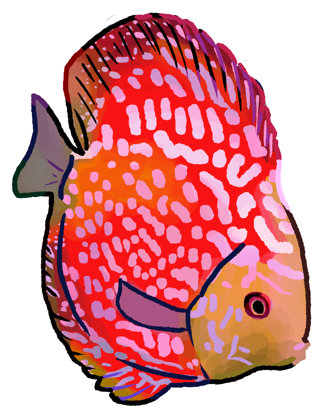 discus-fish-2.png