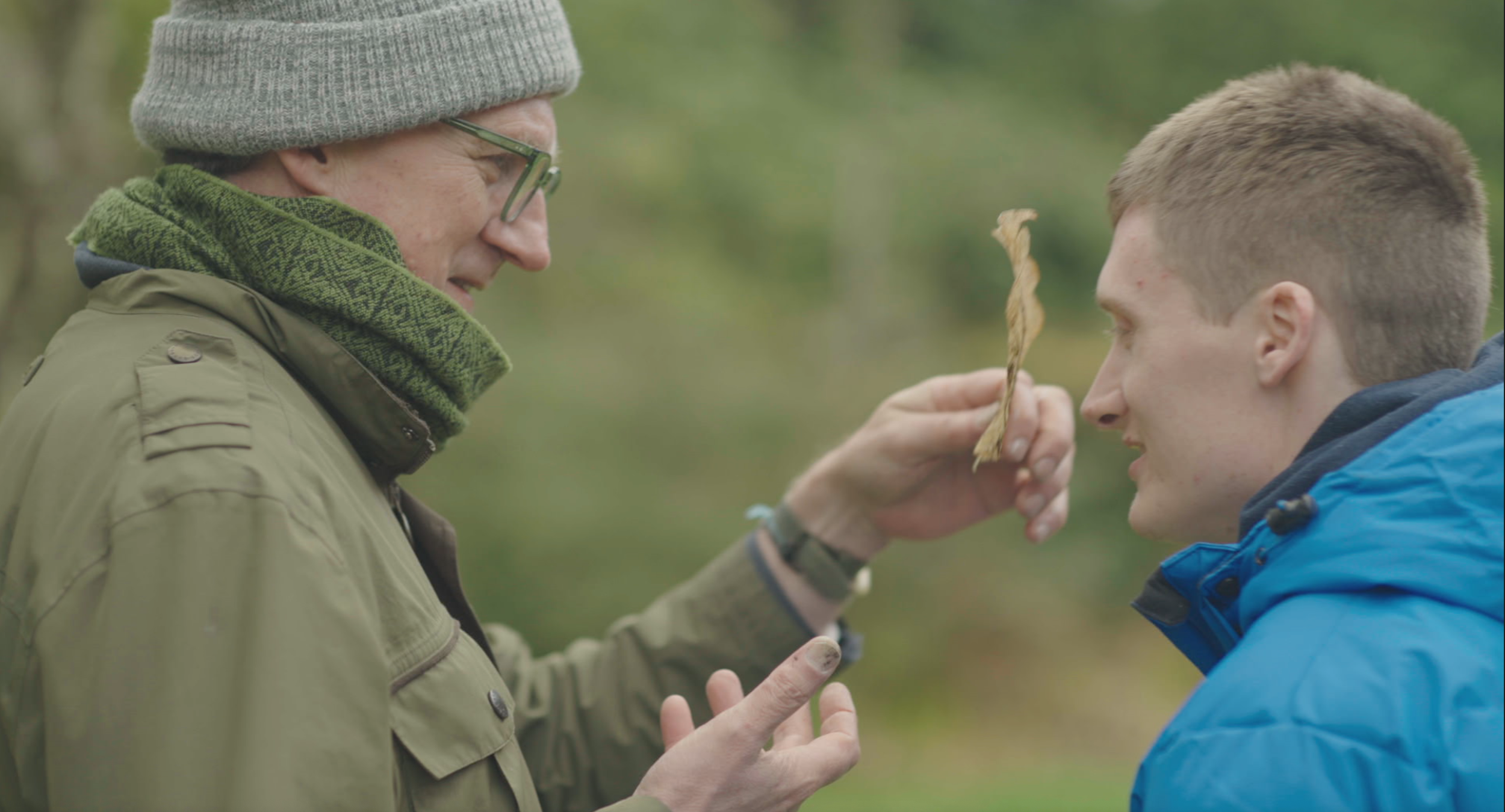 Eamon & Tommy Leaf 1.png